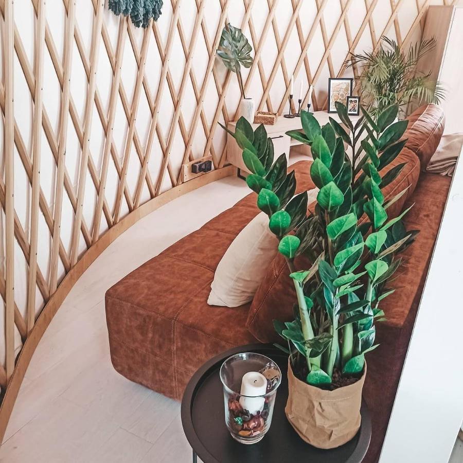 Hotel Jurty Glamping Gostynin Zewnętrze zdjęcie