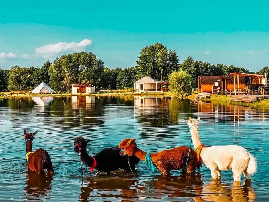 Hotel Jurty Glamping Gostynin Zewnętrze zdjęcie